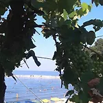 Hotel Chrisi Akti *