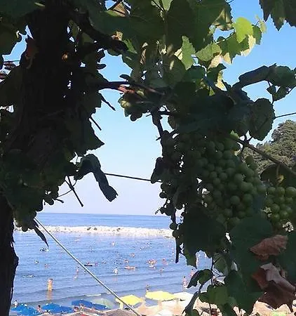Hotel Chrisi Akti *