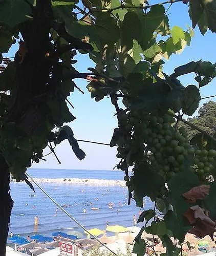 Hotel Chrisi Akti *